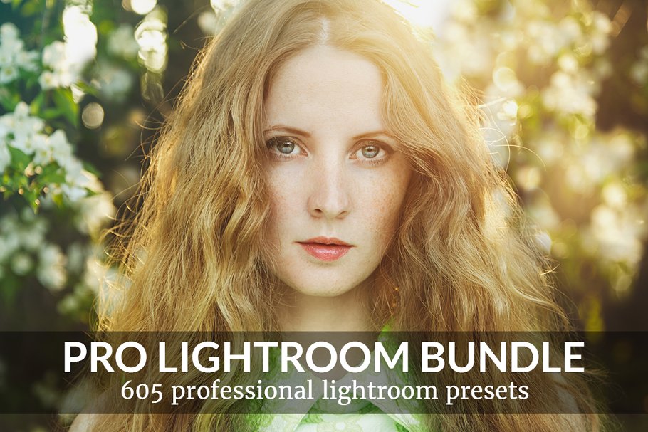 Download Pro Lightroom Presets Bundle