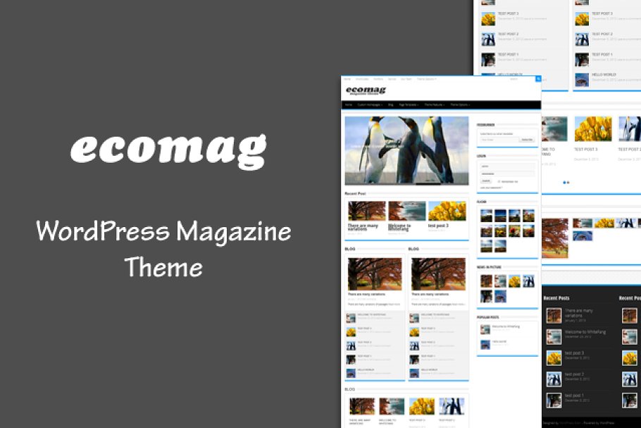 Download EcoMag – WordPress Magazine Theme