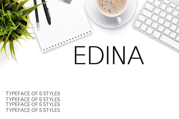 Download Edina Sans Serif Minimal Font Pack