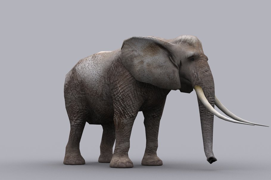 Download ELEPHANT with Native File