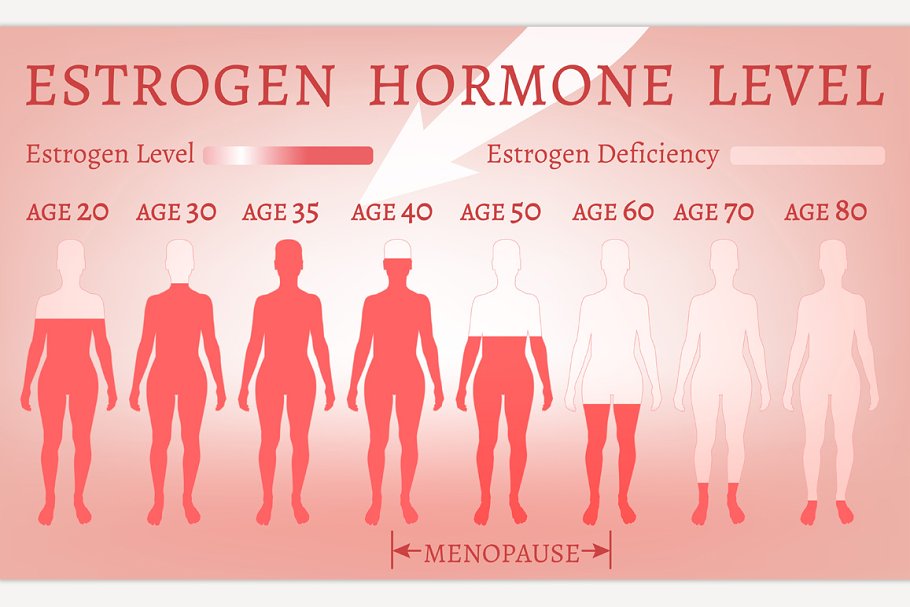 Download Estrogen Hormone Level