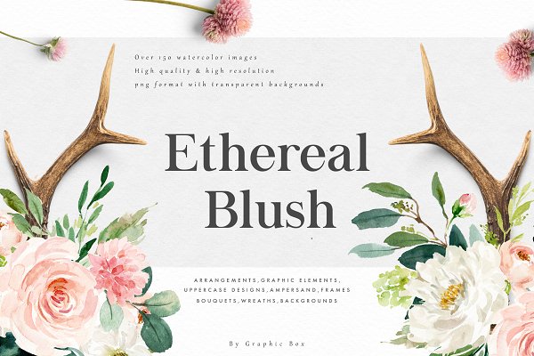 Download Ethereal Blush-Florals Graphic Set