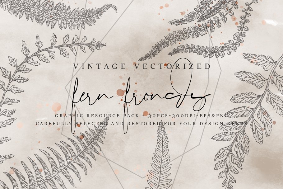 Download VintageVectorized-Fern Clipart