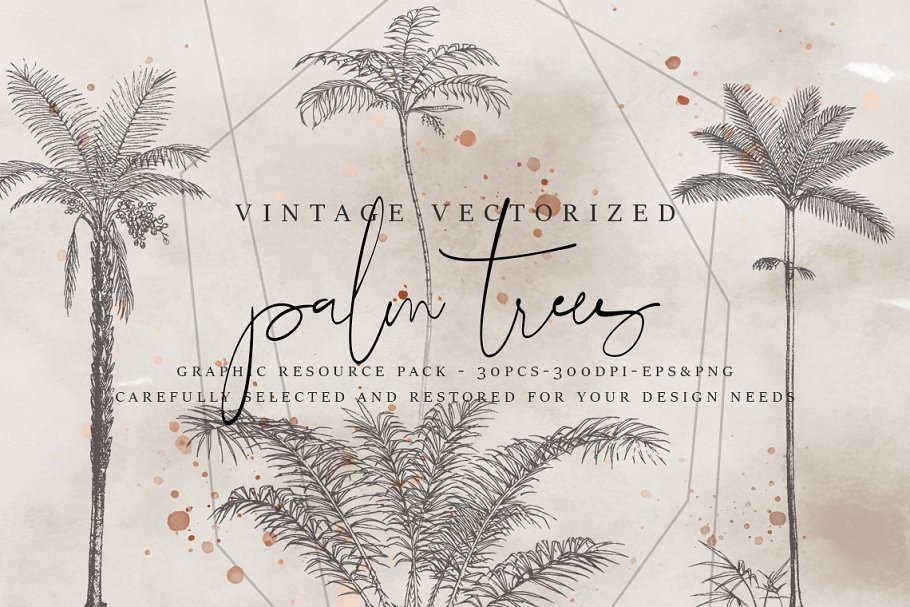 Download VintageVectorized-Palm Trees Clipart