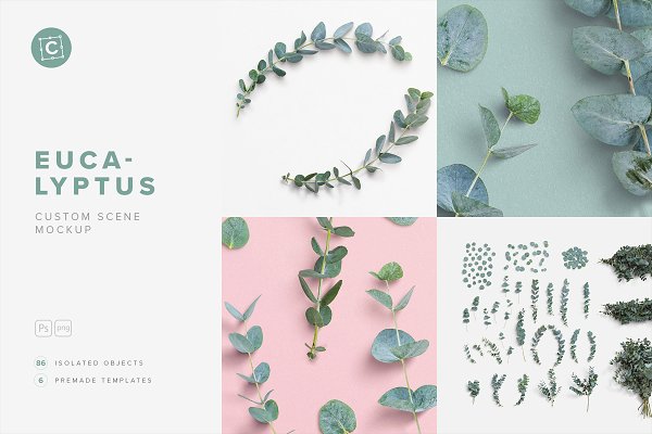 Download Eucalyptus Custom Scene Creator