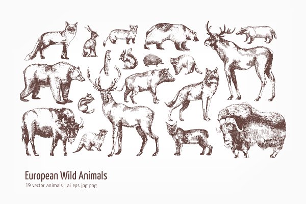 Download European wild animals set