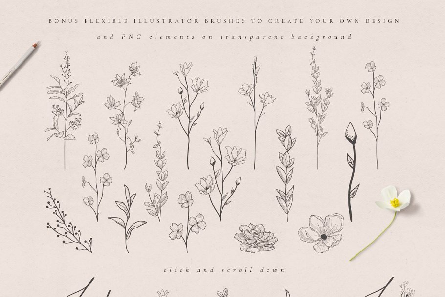 Download Illustrator Art brushes collection.