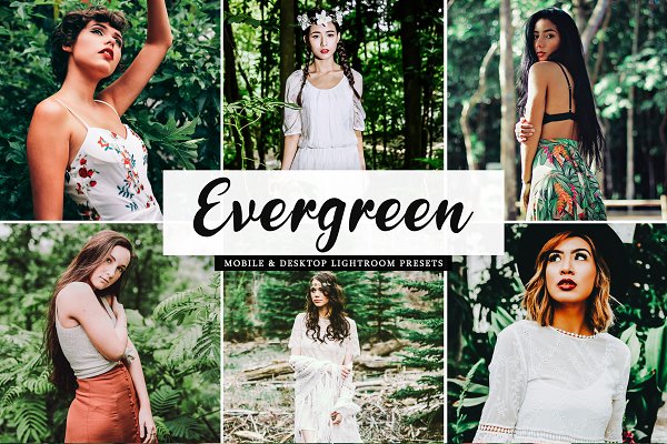 Download Evergreen Lightroom Presets Pack