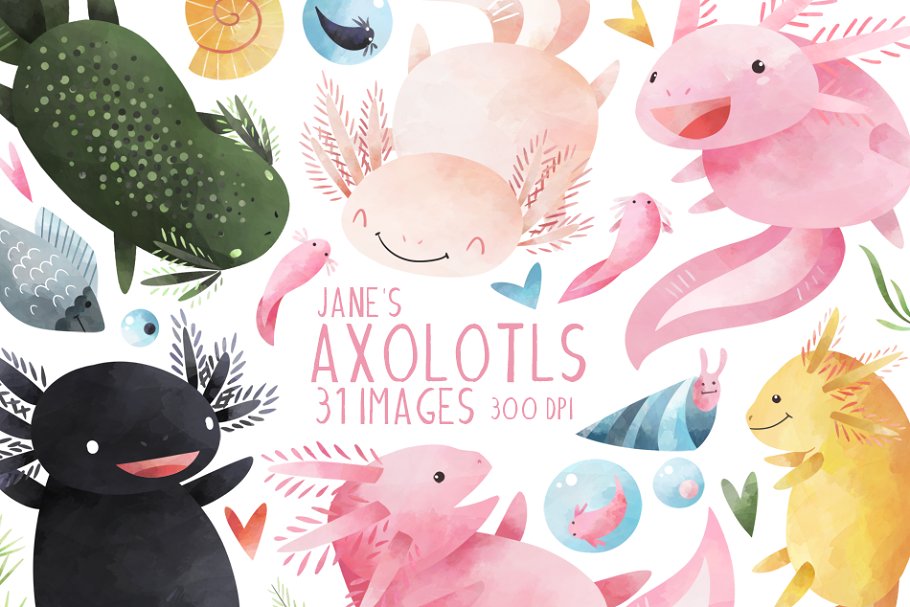 Download Watercolor Axolotls Clipart