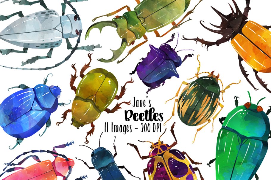 Download Watercolor Beetle Clipart