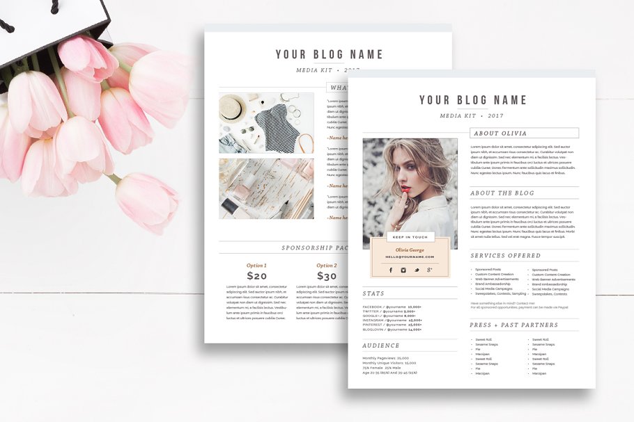 Download Media Kit Template 2 Page