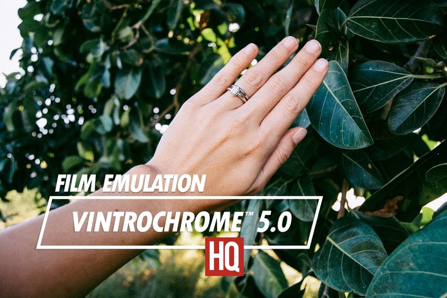 Download Vintrochrome™ 5.0 | Film Emulation