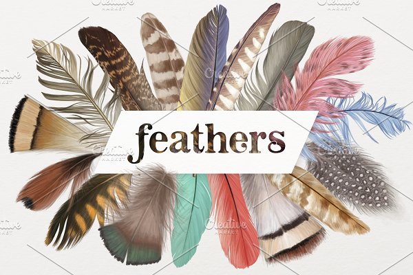 Download Feather vector illustrations
