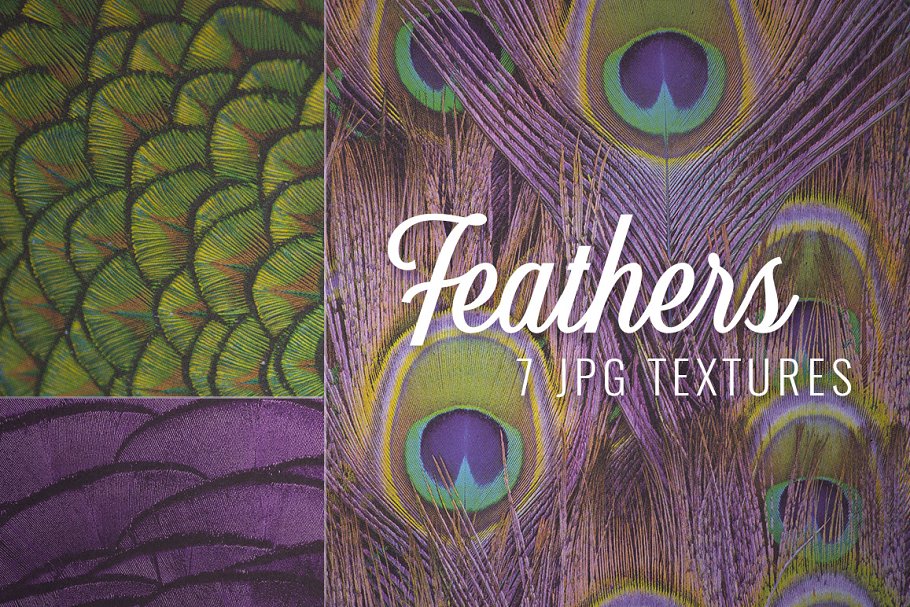 Download Feather Textures