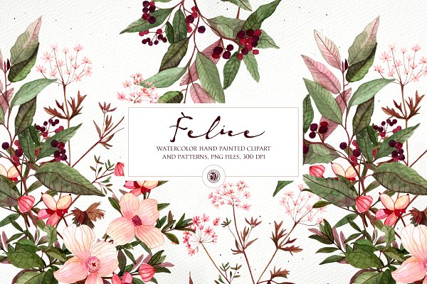 Download Felice - watercolor floral set