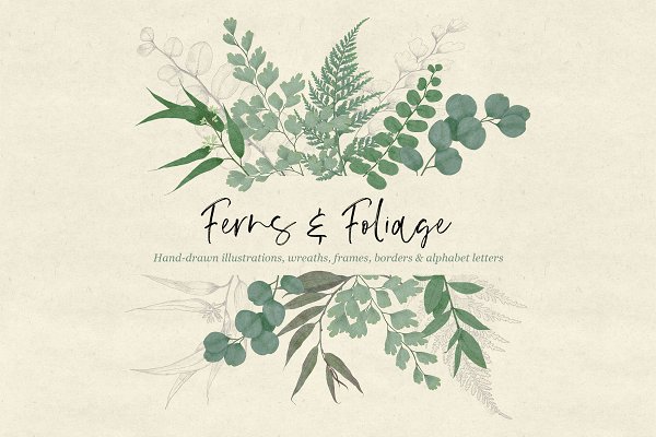 Download Ferns & Foliage Illustrations