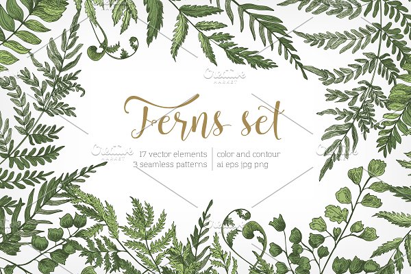 Download Ferns green foliage - set