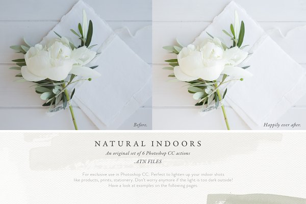 Download Photoshop Actions - Natural Indoors