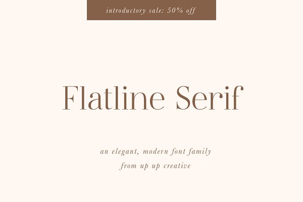 Download Flatline Serif Complete - 50% Off