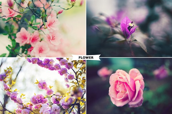 Download Flowers Photoshop Actions