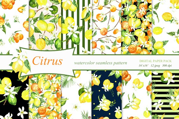 Download citrus watercolor seamless pattern