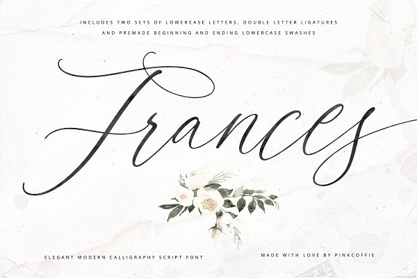 Download Frances | Modern Calligraphy Script