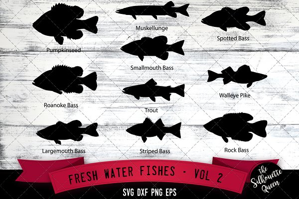 Download Fresh Water Fishes Svg V2 - Pumpkins