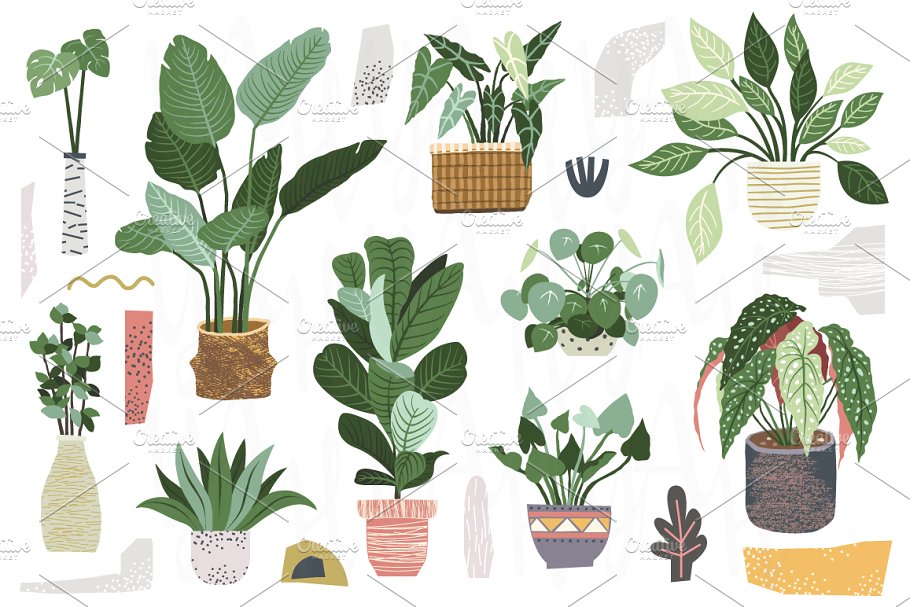 Download Home Plant Collection Set