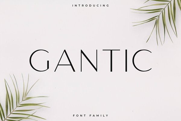 Download Gantic Font Family - Sans Serif