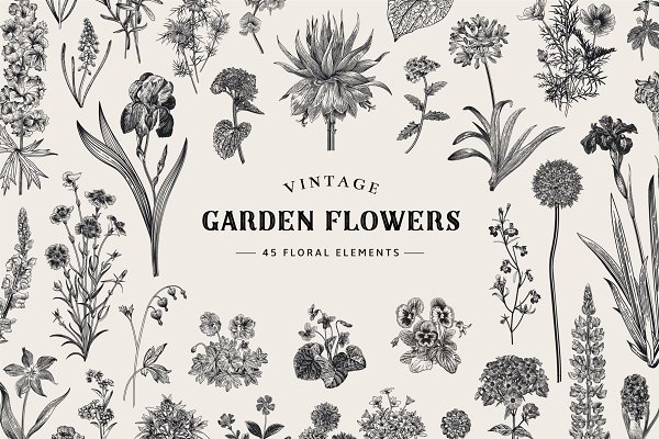 Download Garden Flowers. Black and white