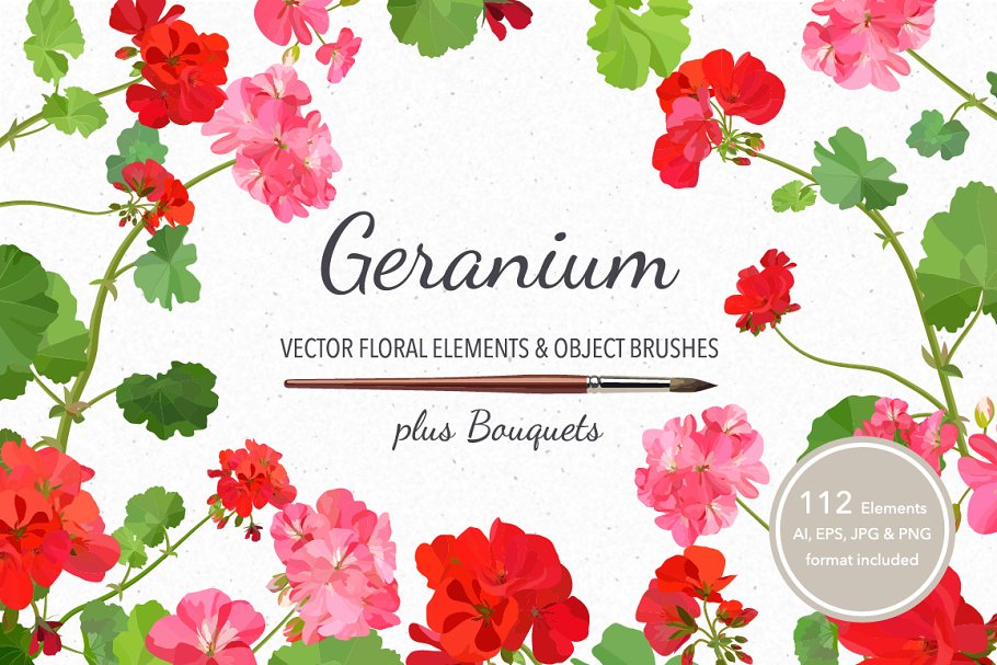 Download Vector object brushes. Geranium.