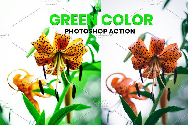 Download Green Color Photoshop Action