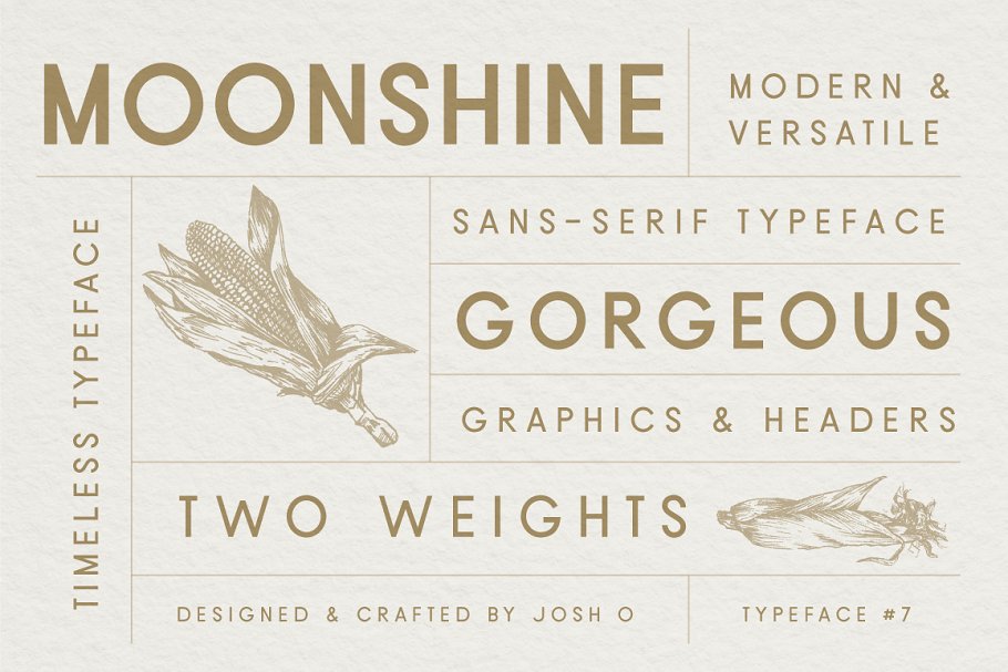 Download Moonshine Font | Classic Sans Serif