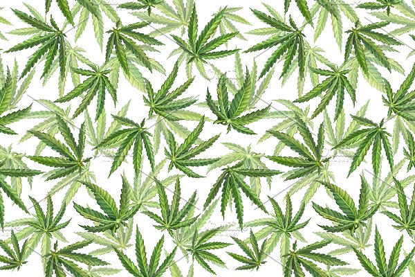 Download Cannabis Seamless Pattern