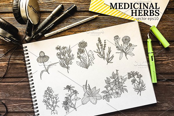 Download Medicinal herbs vintage collection
