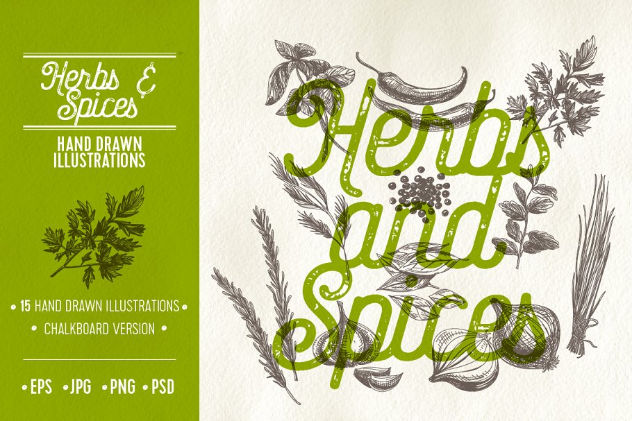 Download Herbs and spices illustrations