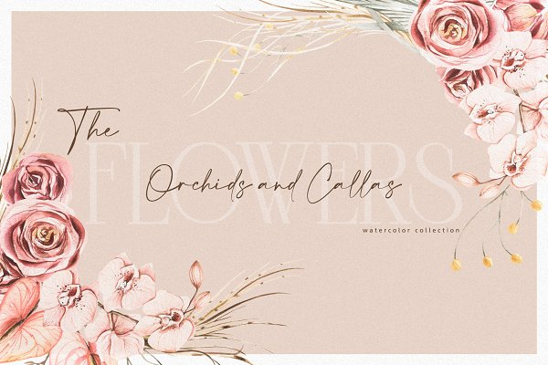 Download Modern Bouquets of Orchids & Calle