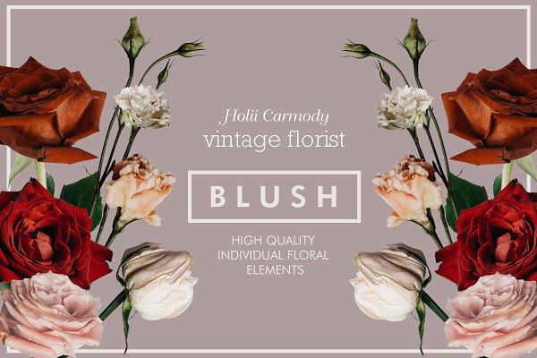 Download Blush - vintage rose floral elements