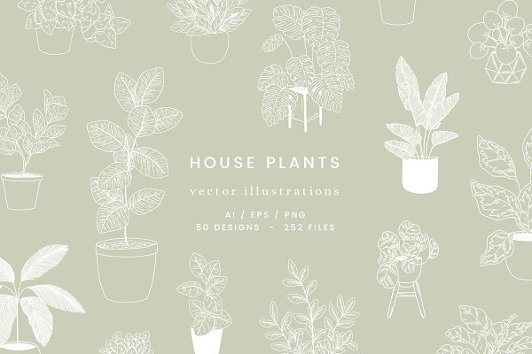 Download House Plants Vector Illustrations
