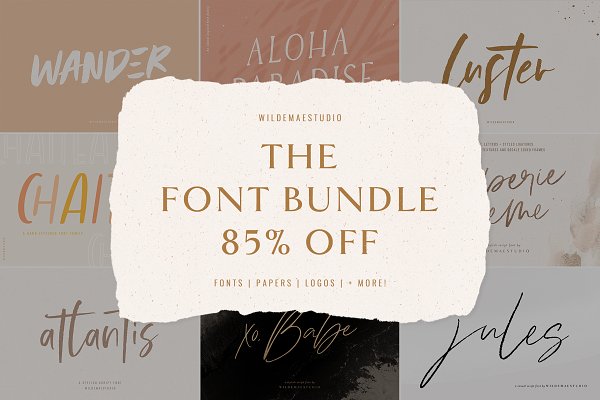 Download The Font Bundle by Wilde Mae Studio