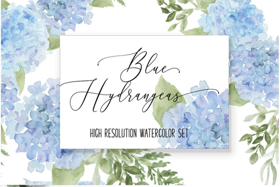 Download Hydrangea Watercolor florals