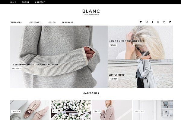 Download Blanc Wordpress Theme