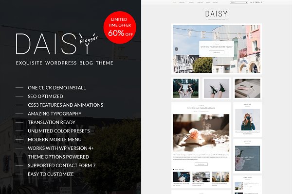 Download Daisy - Exquisite WordPress Blog