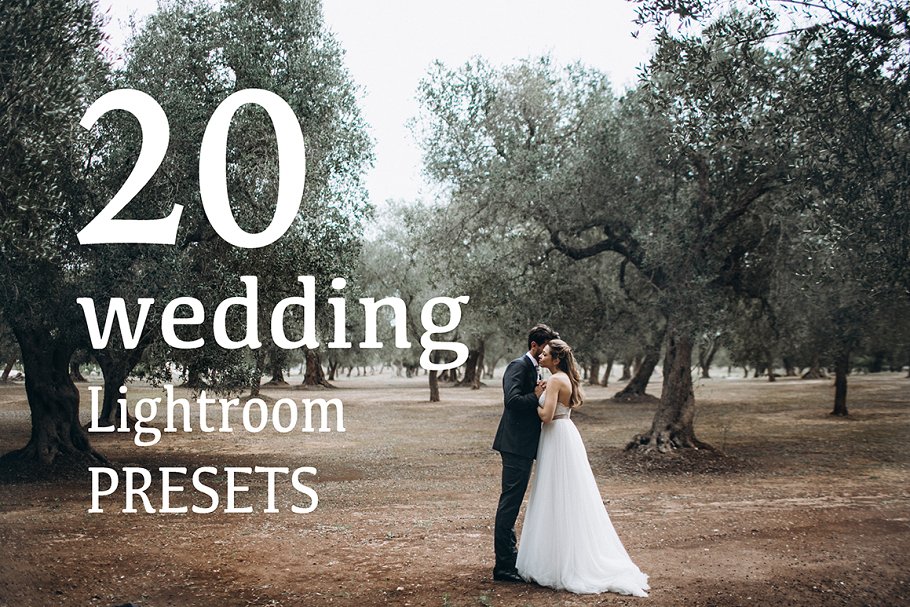 Download TOP20 WEDDING Lightroom Presets 2017