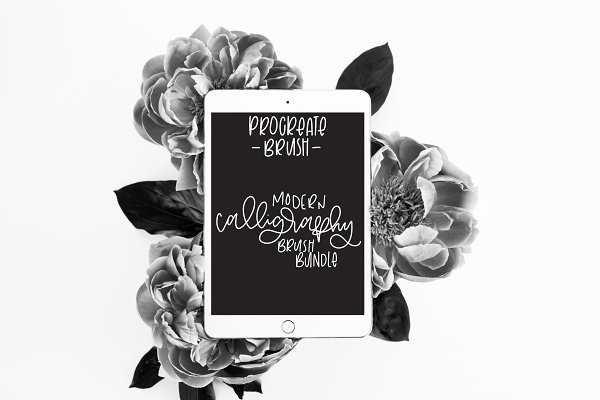 Download 8 Mod Calligraphy Brushes Procreate