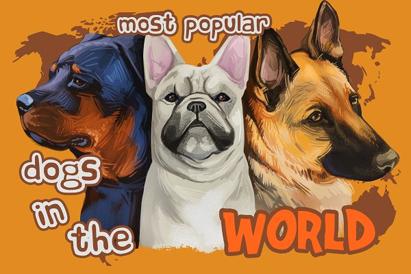 Download 100 Dog Breeds Popular in the World