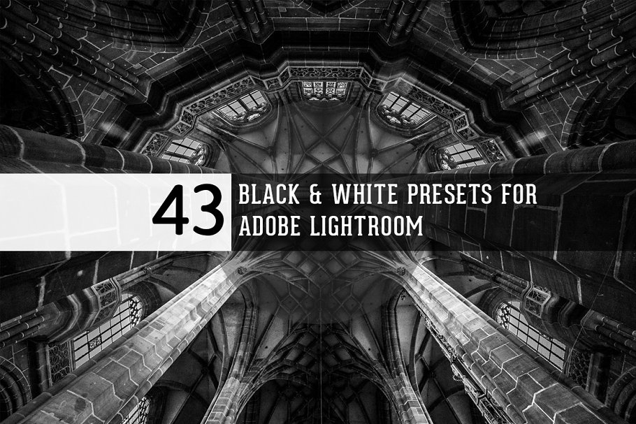 Download Black & White presets for Lightroom