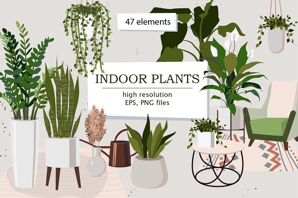 Download Indoor Plants | Part 1