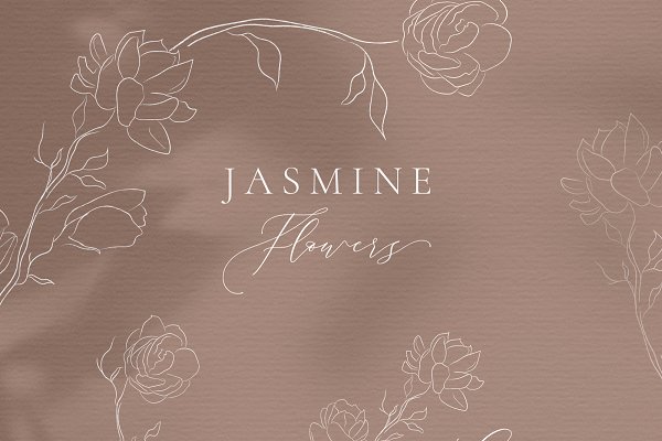 Download Line drawing White Jasmine Flower.
