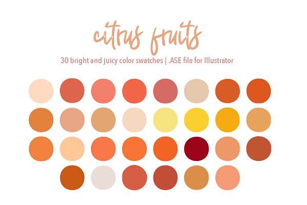 Download Citrus Fruits Illustrator Palette